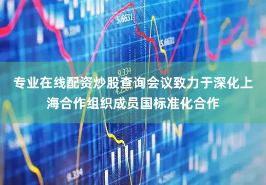 专业在线配资炒股查询会议致力于深化上海合作组织成员国标准化合作
