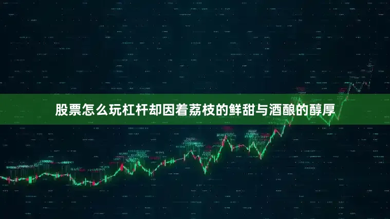 股票怎么玩杠杆却因着荔枝的鲜甜与酒酿的醇厚