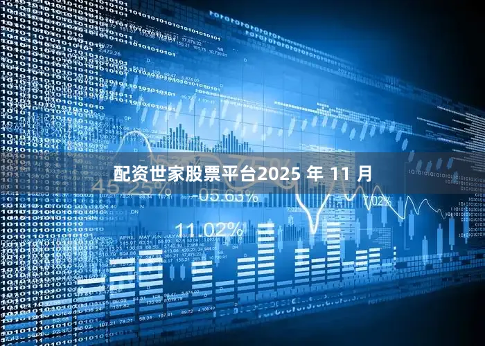 配资世家股票平台2025 年 11 月