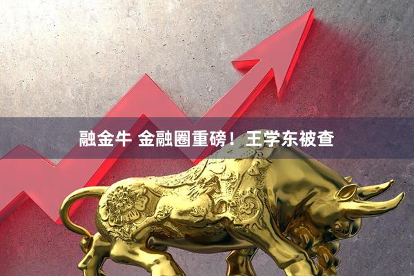 融金牛 金融圈重磅！王学东被查